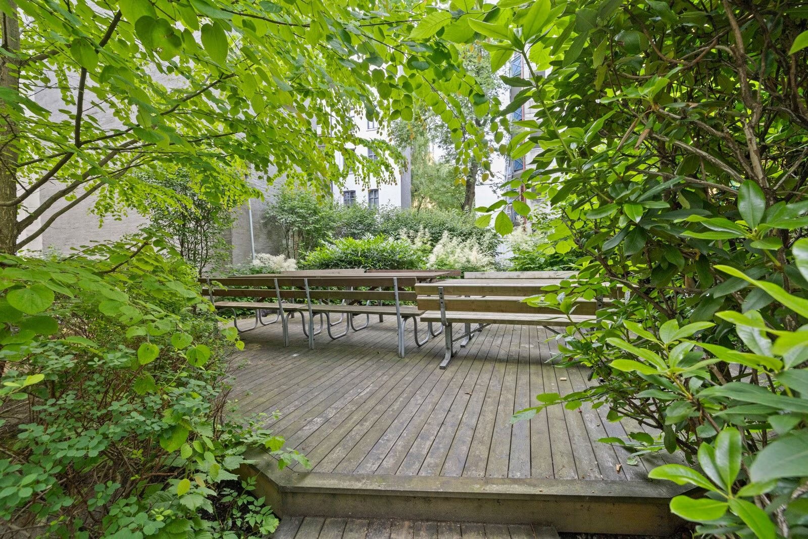 Frodig og grønn bakgård